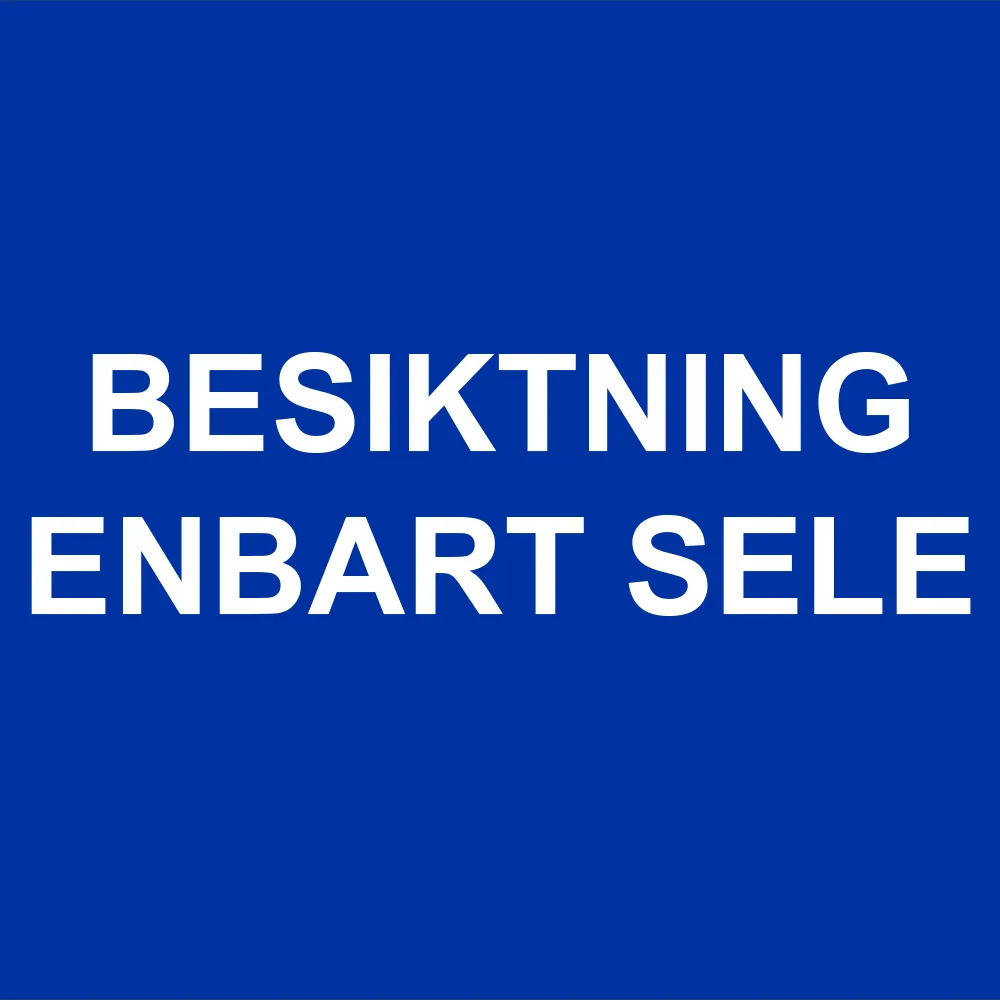 Besiktning enbart sele